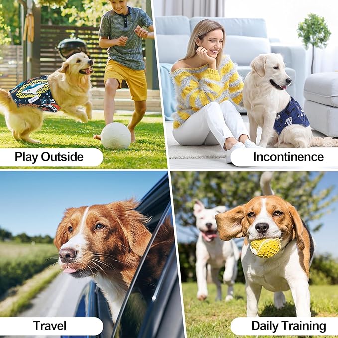 Washable Male Dog Diapers Reusable, Premium Belly Bands for Male Dogs, Pack of 3, High Absorbing Extra Small Male Dog Pee Wraps for Doggie in Incontinence or Excitable Urination and Training(XS)