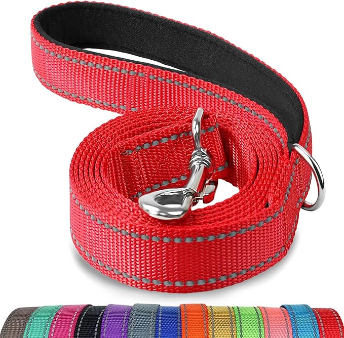 Joytale Dog Leash, 5 FT Double-Sided Reflective, Padded Handle Nylon Heavy Duty Leashes for Small Dogs Walking, Red