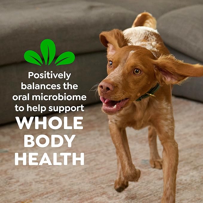 Greenies Veterinarian-Recommended Adult Natural Dental Dog Treats Petite Size, Variety Pack Flavor, (3) 12 oz. Packs, 60 Count