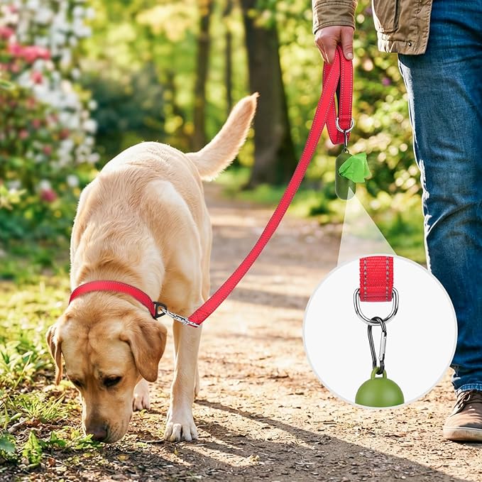 Joytale Dog Leash, 5 FT Double-Sided Reflective, Padded Handle Nylon Heavy Duty Leashes for Medium & Large Dogs Walking, Red