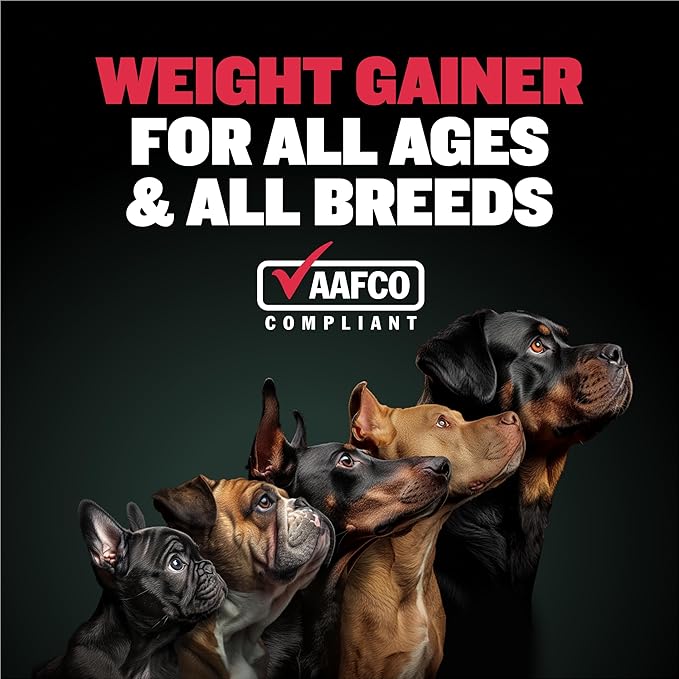 Bully Max Dog Weight Gainer Soft Chews for Puppies and Adults - High Calorie Dog Food Performance Supplements for Healthy Weight Gain, Immunity & Digestive Health - 75 Chews for All Breeds & Ages