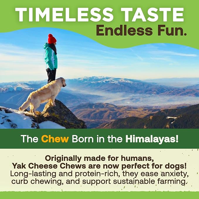 EcoKind Pet Treats Gold Himalayan Yak Cheese Dog Chew, Yak Dog Treats for Active Chewers, 100% Natural & Healthy Chew Sticks for Small & Large Dogs, Small Yak Cheese Sticks (8 Chews)