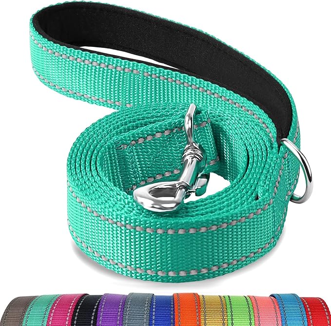 Joytale Dog Leash, 5 FT Double-Sided Reflective, Padded Handle Nylon Heavy Duty Leashes for Small Dogs Walking, Teal