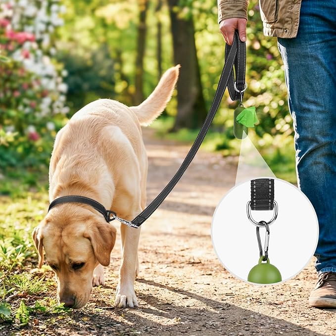 Joytale Dog Leash, 4 FT Double-Sided Reflective, Padded Handle Nylon Heavy Duty Leashes for Small Dogs Walking, Black