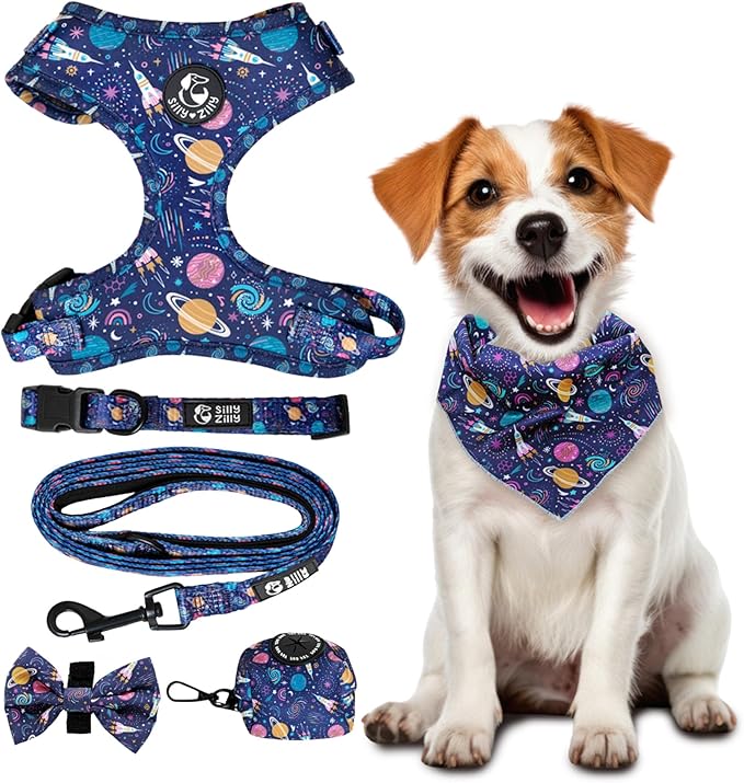 No Pull Harness and Leash Set - 6-in-1 Adjustable Vest Harness and Collars for Medium and Large Dogs. (Cosmic, Large)