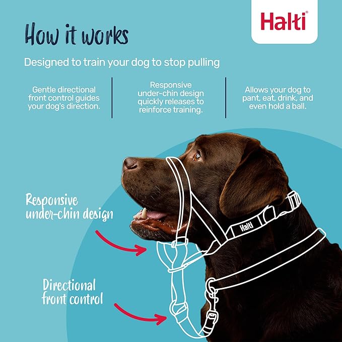 Halti Headcollar - Stop Your Dog Pulling on the Leash. Adjustable, Reflective and Lightweight, with Padded Nose Band. Dog Training Anti-Pull Collar for Medium Dogs (Size 2, Black)