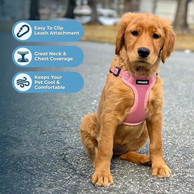 Best Pet Supplies Voyager Adjustable Step-in Flex Breathable Mesh Dog Harness for Small Medium Large Dogs (Pink), L