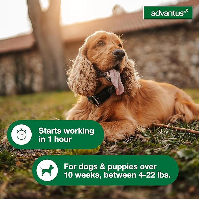 Advantus Dog Fast Acting Oral Flea Treatment Soft Chewable 4 - 22 lbs. | 30 ct.