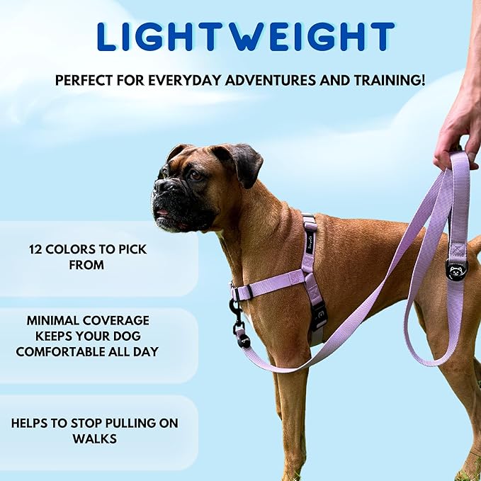 ShawnCo Dream Walk No-Pull Dog Harness- Adjustable, Comfortable, Easy to Use Pet Halter to Help Stop Pulling for Small, Medium and Large Dogs (Oceanic Blue, M)