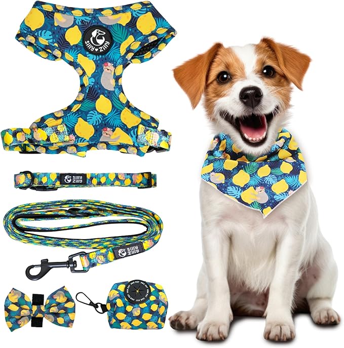 No Pull Harness and Leash Set - 6-in-1 Adjustable Vest Harness and Collars for Medium and Large Dogs. (Lemon, Medium)