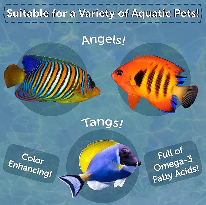 Aquatic Foods Inc. Marine Fish Flakes of Red & Green Algae, Seaweed for Tangs, Butterflies, Angelfish, Anthias, Clown Fish, Damsels Also Pellet Mix, Wafer Mix Included… AFI 6oz Jar