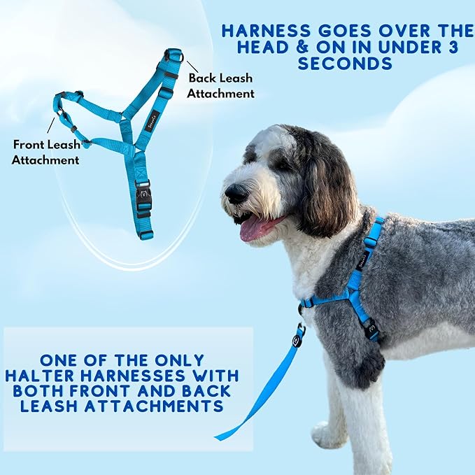 ShawnCo Dream Walk No-Pull Dog Harness- Adjustable, Comfortable, Easy to Use Pet Halter to Help Stop Pulling for Small, Medium and Large Dogs (Mustang Red, S)