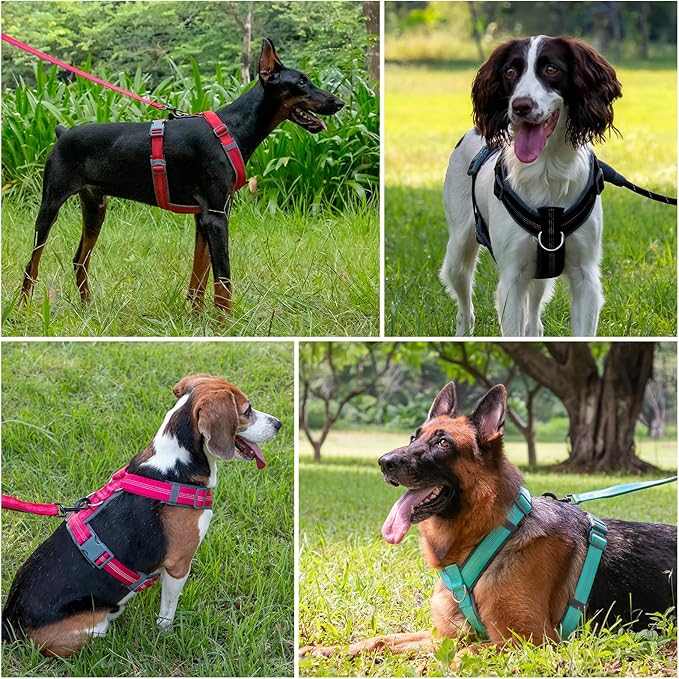 Plutus Pet No Pull Dog Harness, Adjustable Nylon Harness with Soft Padding, Reflective and Heavy Duty Dog Harness for Small, Medium, Large Dogs(Black, M)
