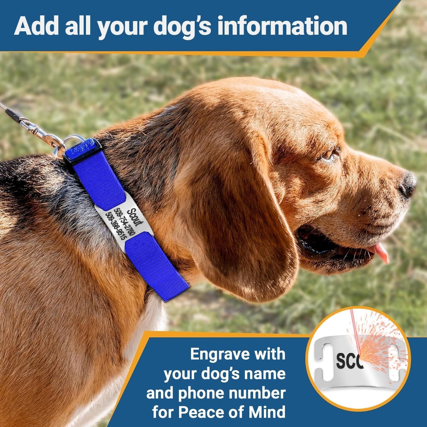 GoTags Personalized Dog Collar with Nameplate, Adjustable Dog Collar with Custom Engraved Slide On Pet ID Tag in Stainless Steel, Silent, No Noise Dog Tag (Light Gray, Small)