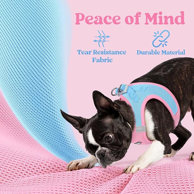 rabbitgoo Small Dog Harness, Step-in Soft Mesh Puppy Vest with Safety Buckle, Breathable Reflective Pet Harness for Small Sized Dogs, Blue & Light Pink M