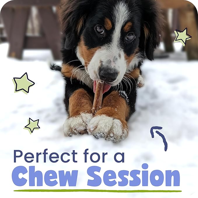 Pawstruck Natural 9" Braided Bully Sticks for Dogs - Long Lasting Rawhide Free Low Odor Single Ingredient Chew Treat for Aggressive Chewers - 1lb Bag