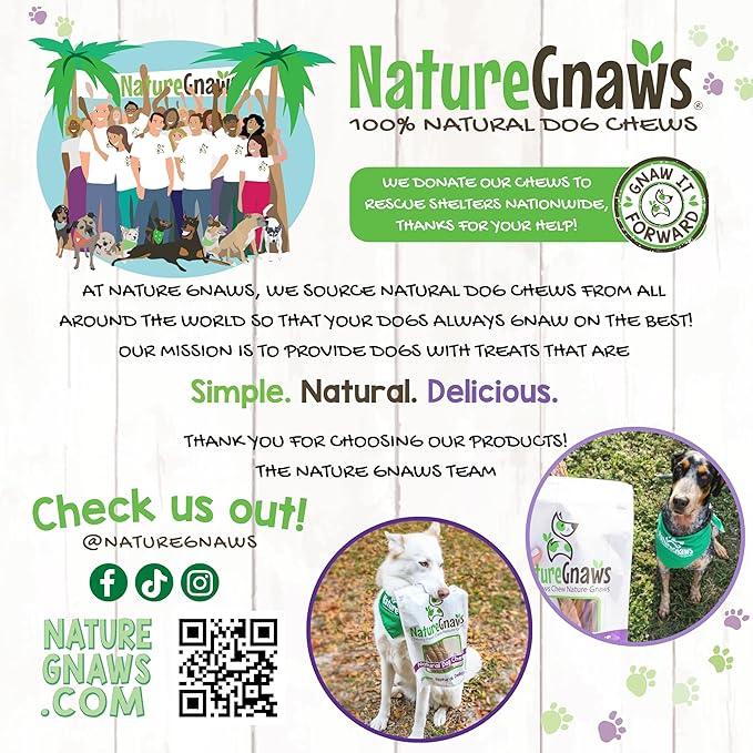 Nature Gnaws Extra Thin Pork Bully Sticks for Small Dogs 5-6" (50 Count) - Long Lasting for Light Chewers and Puppies - Natural Bacon Dog Chew Treats