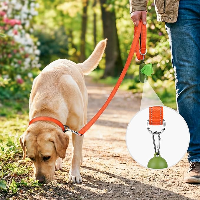 Joytale Dog Leash, 4 FT Double-Sided Reflective, Padded Handle Nylon Heavy Duty Leashes for Small Dogs Walking, Orange