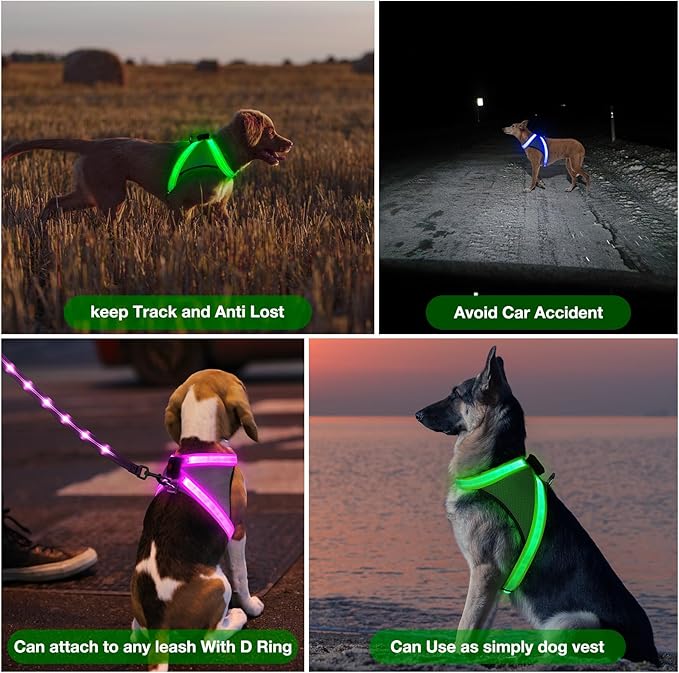 ChalkLit Light Up Dog Harness, No Pull Led Dog Harness Glow-in-The-Dark for Night Walking, USB Rechargeable Lighted Safety Vest for Medium Large Dogs, Adjustable Soft Mesh Fully Illuminated(Green, L)