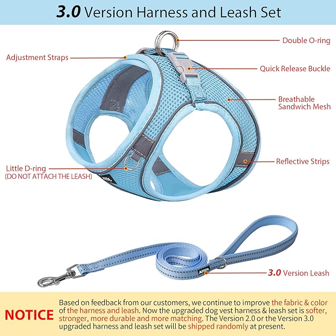 AIITLE Comfortable Dog Harness and Leash Set for Walking - Step in Vest Harness,Reflective Bands, Adjustable No Pull Puppy Essentials, for Small Dogs and House Cats Pure Blue XS