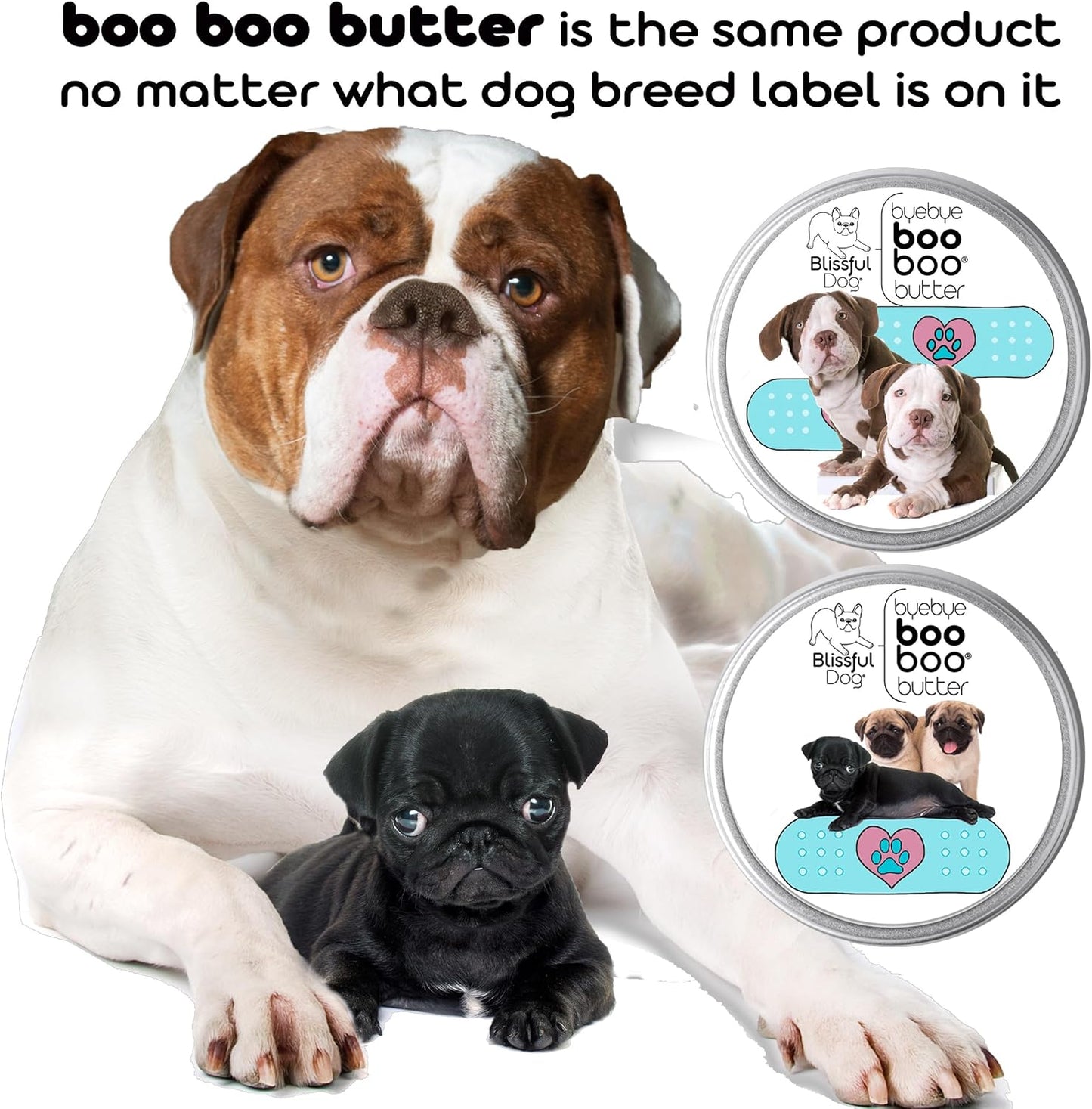 The Blissful Dog 2 oz TIN Shiba Inu Booboo Butter