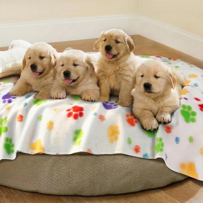 LINENLUX Cute Dog Blanket for Small Medium Dogs 6-Pack Soft Stretchy Fleece Blankets for Pet Cat Puppy Warm Wrinkle-Resistant Throw for Couch Bed Outdoor White 31x24 inch (Pack of 6)