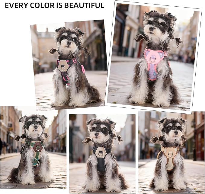 Small Dog Harness and Leash Set, Breathable Mesh Puppy Harness, Adjustable Dog Harness for Small Medium Large Dogs, No-Pull Pet Harness for Daily Walking (Hotpink, Small)
