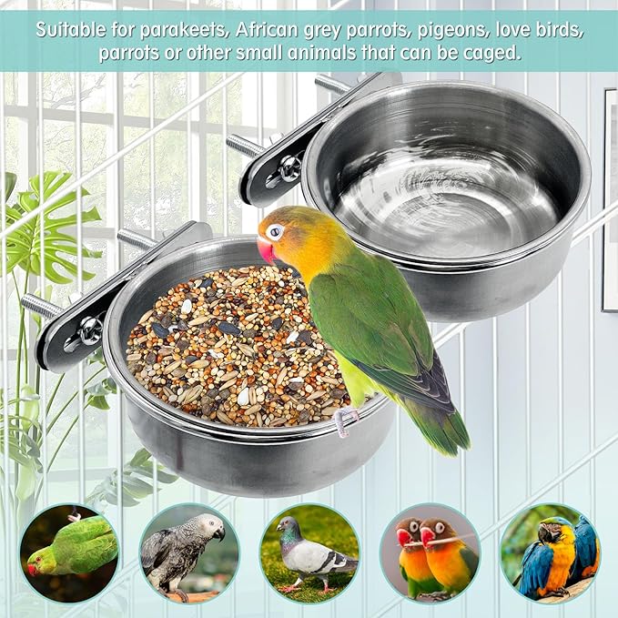 PINVNBY 2 PCS Stainless Steel Bird Bowl Parrot Food Water Bowls with Clamp Holder Bird Feeder Dish Cups Crate Bowls for Cockatiel Pigeons Conure Budgies African Greys (Double Screws Size: S)