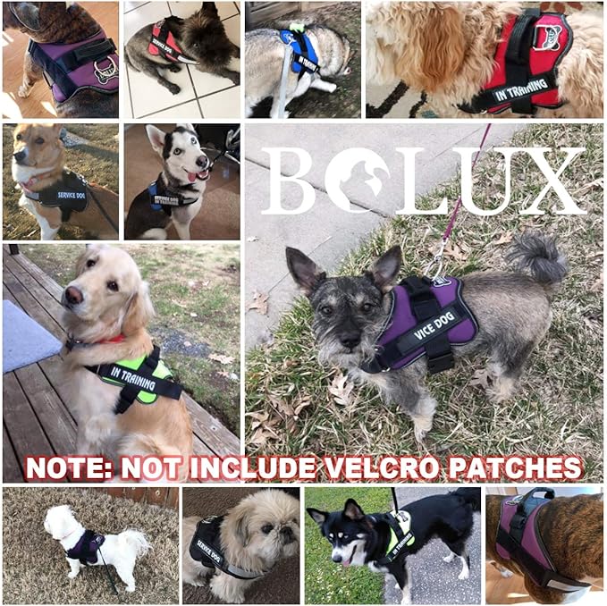 Bolux Dog Harness, No-Pull Reflective Dog Vest, Breathable Adjustable Pet Harness with Handle for Outdoor Walking - No More Pulling, Tugging or Choking (Purple, XS)