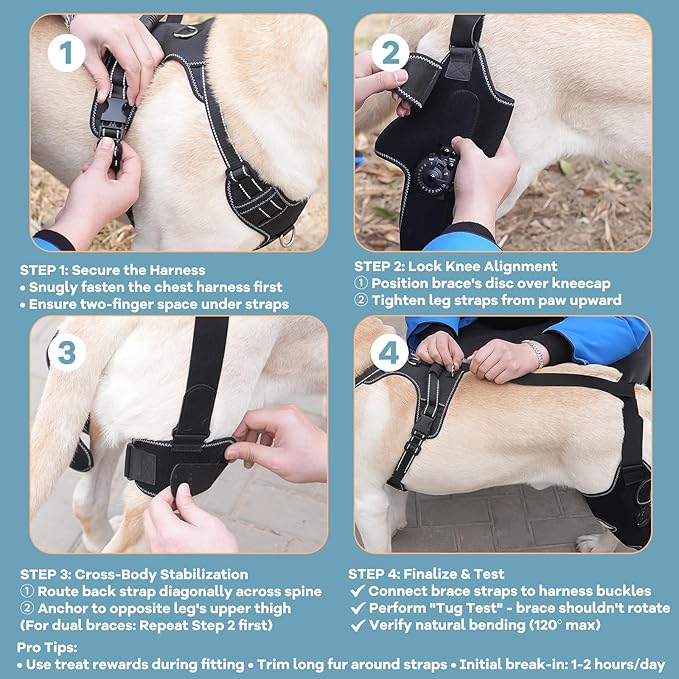 Dog Knee Brace with Adjustable Support – ACL & CCL Tear Recovery, Post-Surgery Stabilization, Mobility Aid for Rear Legs – Includes Secure Chest Harness for Dogs(Left,M)