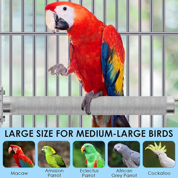 KATUMO Parrot Perch - Stainless Steel African Grey Perch Bird Cage Accessories for Small to Large Parrots (11.8 x 1.2 inch)