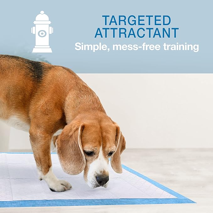 Four Paws Wee-Wee Superior Performance Unscented Large Pee Pads for Dogs & Puppies, Quilted Leak-Proof Dog Housebreaking Potty Training Floor Protection, 27.5" x 44", 50 Count