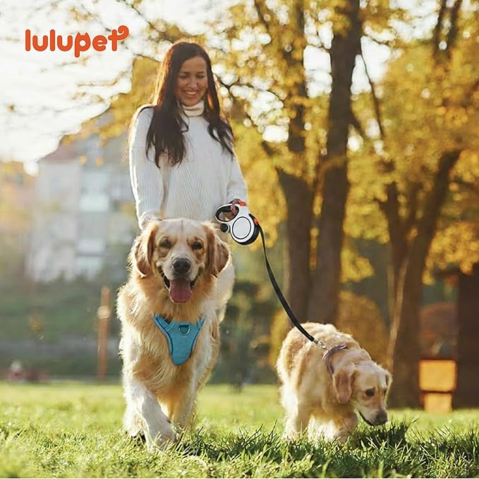 3 in 1 No Pull Dog Harness Leash and Collar Set, Soft Adjustable Dogs Vest Reflective and Comfortable Handle Blue Small