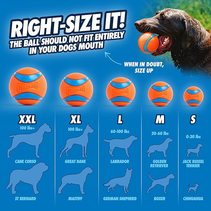 Chuckit! Ultra Ball Dog Toy - Medium Bouncy Fetch Balls For Dogs 20-60 lbs - Made from Durable Rubber - Floating Water Pet Toys - Size Medium - 2.5-inch Diameter - Pack of 4