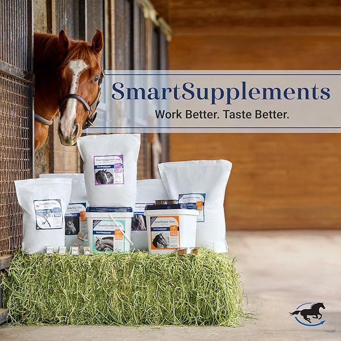 SmartDigest Ultra Paste | Digestive Health and Support Horse Supplement | Provides Prebiotics, Probiotics, Digestive Enzymes | Butterscotch Flavor | Pack of 6 Tubes