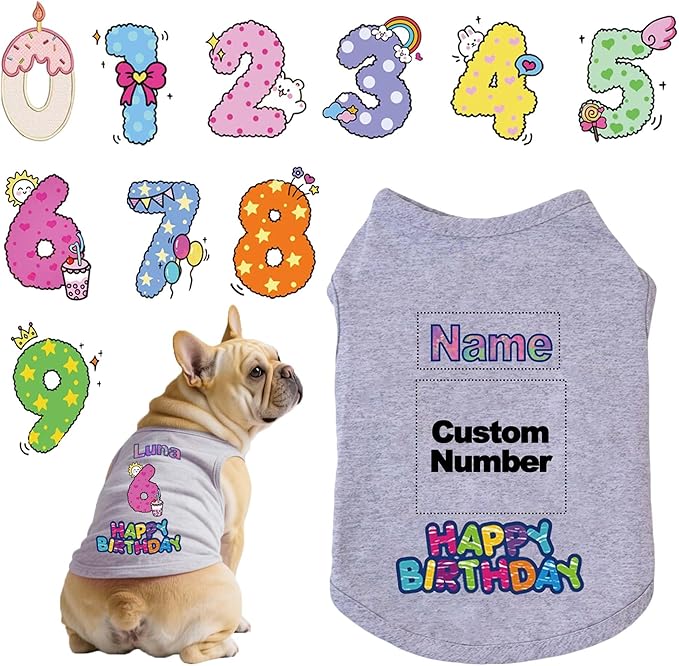 Custom Dog Birthday Shirt,Personalized Pet Apparel Print with Name Age Number,Pet Birthday Outfit,Lightweight Breathable Cotton Vest for Small Medium Large Dogs Cat (Grey, X-Large)