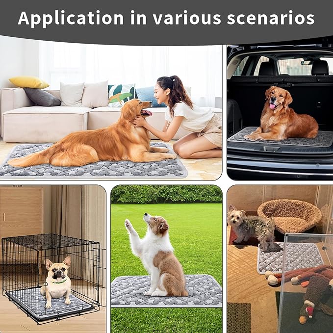 Dog Crate Mats, Soft Reversible Dog Bed Mat, Cat Mat - 24x16 Inch, Short Plush Pet Mat Crate Mat for Small Dogs, 0.6-inch Thick Thin Dog Mat, Machine Washable Ideal for 24-Inch Dog Crates