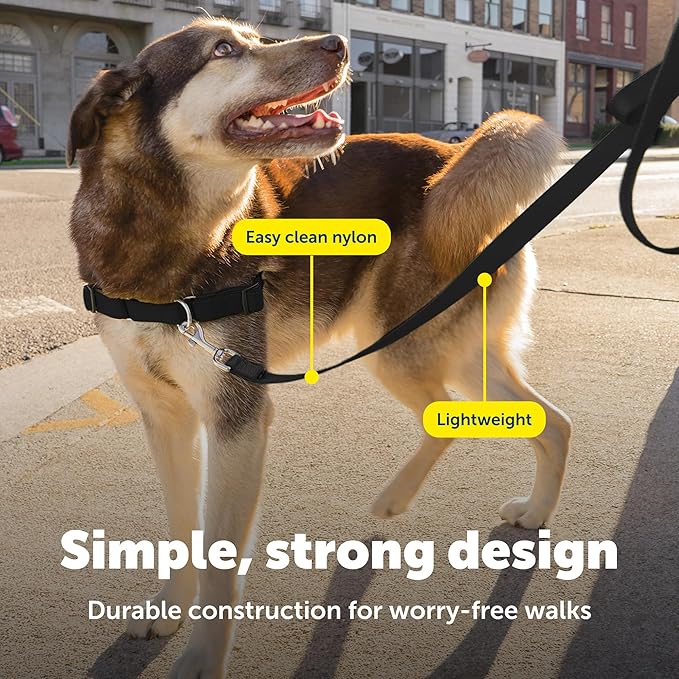 PetSafe Nylon Leash - Durable Cat & Dog Behavioral Training Leash - Compatible with Easy-Walk Harness - Traditional-Style Reliable Pet Lead with a Padded Hand Wrap - 3/8" x 6' - Black