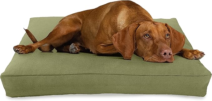 Large - 42 x 28 x 5 - Cactus Premium Organic Hemp Dog Bed - Organic Latex Fill - Removeable Cover