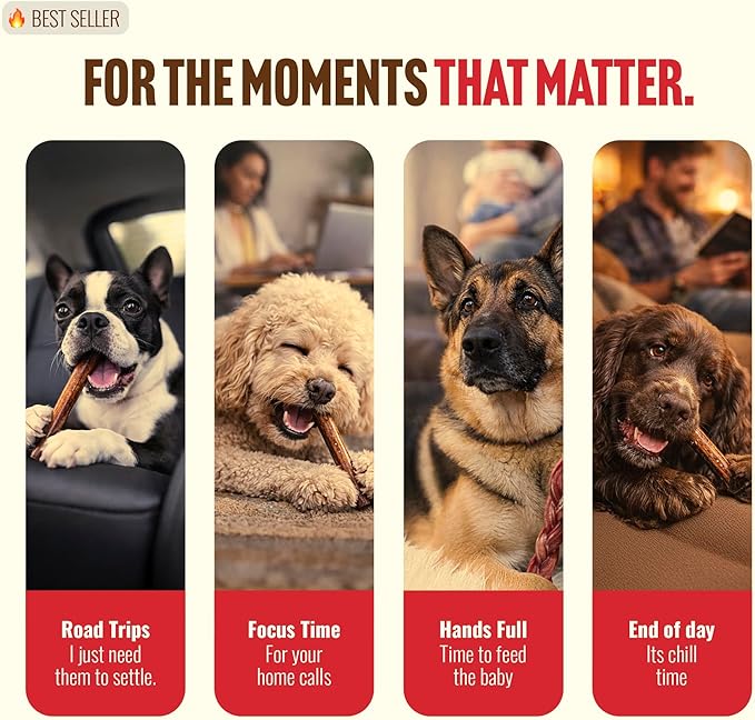 Natural Farm Odor-Free Braided Bully Sticks (4-5 Inch, 5 Pack) - 100% Grass-Fed Beef, Grain-Free, Low Fat & Fully Digestible Best Dental Treats, Safest Long Lasting Pizzle Chews to Keep Your Dog Busy