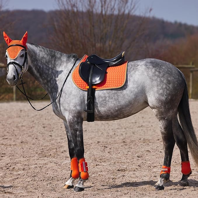 HORZE Adepto Open Front Tendon Boots | Durable Shell with Neoprene Lining - Coral Gold - Warmblood