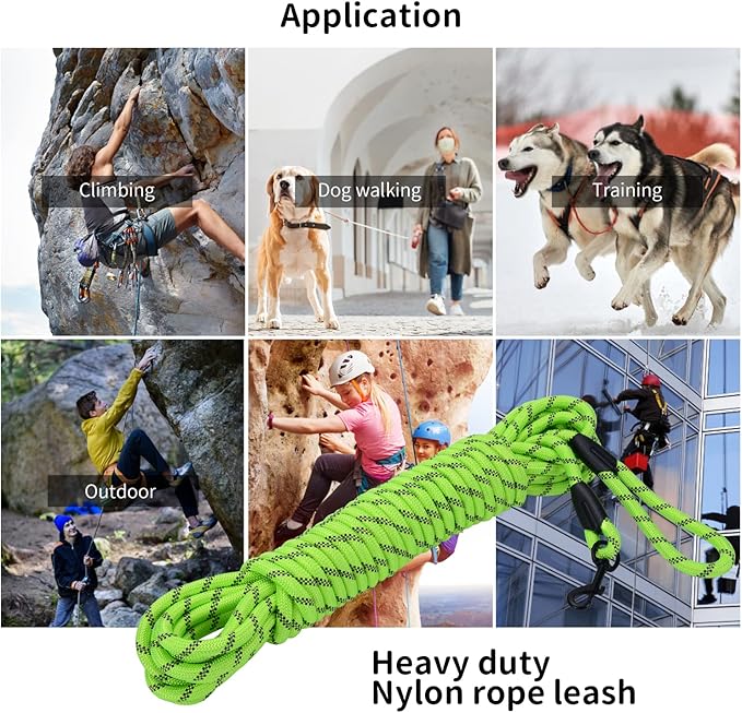 Long Dog Leash for Training 50Ft-Reflective Nylon Rope with Swivel Hook-Recall Agility Lead for Large Small Medium Dogs Outside Walking Hiking-Green Diam 1/2"