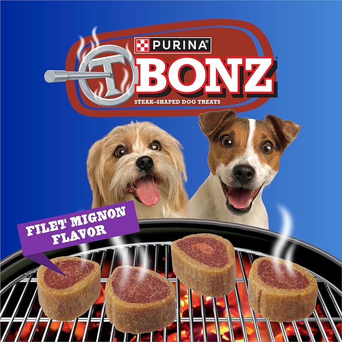 Purina T-Bonz Filet Mignon Flavor Steak Shaped Treats for Dogs - 45 oz. Pouch (Pack of 2)