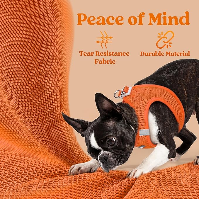 rabbitgoo Small Dog Harness, Step-in Soft Mesh Puppy Vest with Safety Buckle, Breathable Reflective Pet Harness for Small Sized Dogs, Orange S