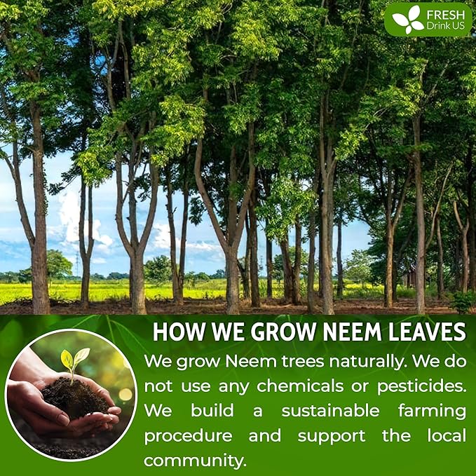 FreshDrinkUS, Premium 10oz Neem Leaf Powder, 100% Natural and Pure from Neem Leaves Dried, for Hair and Skin, No Additives, No Gluten, No Sugar, Vegan