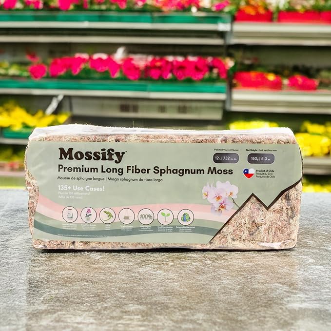 Mossify Premium Sphagnum Moss for Plants 1kg, 2.2 lbs - Long Fiber Moss for Plants Indoor, Orchids, Terrariums, Gardening, Reptiles – Moisture Plant Moss for Propagation, Soil & Habitat Bedding