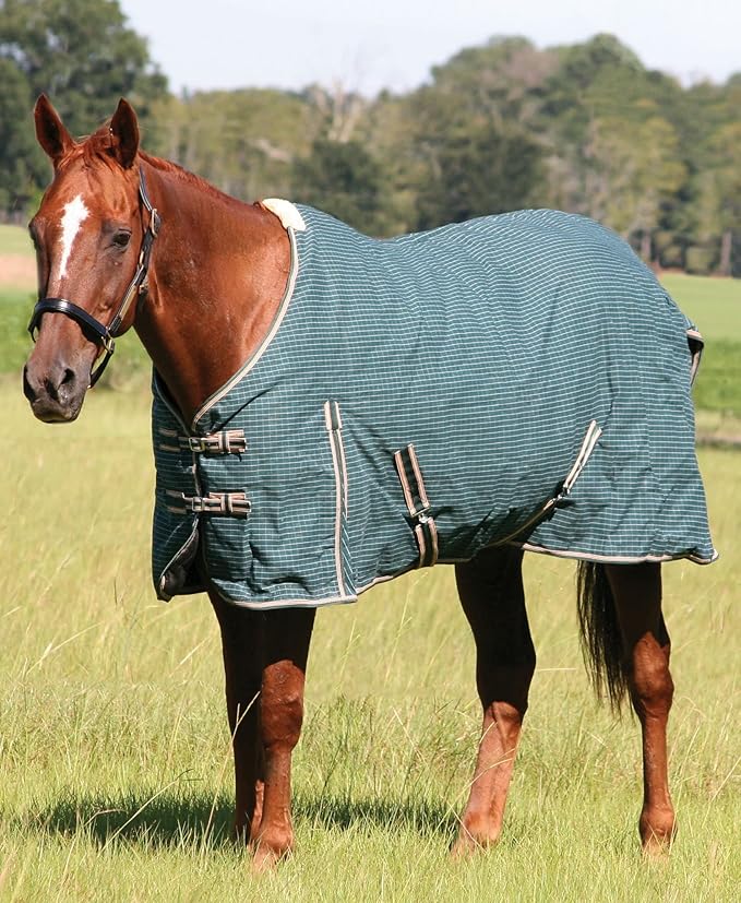 Jeffers Equine Basic Canvas Horse Blanket, 84" – Water Resistant Turnout Blanket for Horses, Pony, Draft – Breathable, Adjustable Straps, Tail Flap, Shoulder Gussets, Barn Gear - Green Tan Check