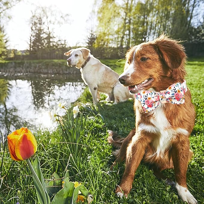 Lionheart glory Dog Collar Bow Collar Floral Dog Collar with Bow Tie Spring Summer Cute Collar Dog Boy or Girl Dog Collars Soft Durable Adjustable Dog Collars for Medium Dogs