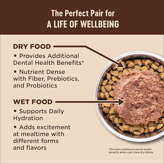 Wellness CORE+ Adult Dry Cat Food for Indoor and Outdoor Cats, Wholesome Grains, Natural, Digestive Health Salmon & Rice (5 Pound Bag)