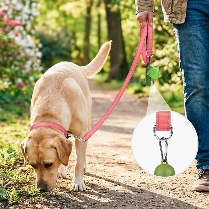 Joytale Dog Leash, 6 FT Double-Sided Reflective, Padded Handle Nylon Heavy Duty Leashes for Small Dogs Walking, Neon Pink